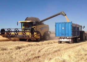 Finaliza la campaña de cebada con una producción de 3,3 millones de toneladas