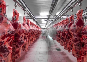 Carne: malestar argentino con las Naciones Unidas