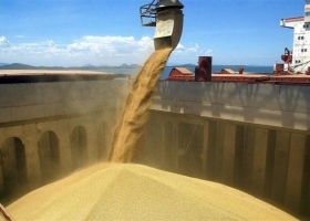 Las divisas aportadas por el agro son las que siguen “pagando la cuenta” de la economía argentina: más de 26.000 millones de dólares en 2019