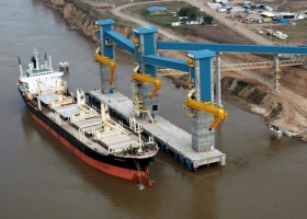 ¿Cuáles fueron los productos del agro que más crecieron en exportaciones en 2019?