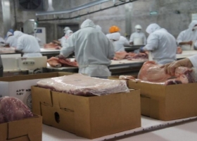 Exportación: este año llega la revancha del novillo pesado luego de que se pinchara el auge de precios de la vaca gorda