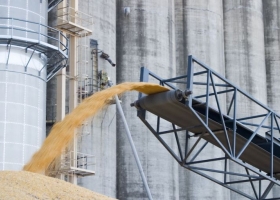 La Industria Molinera desmintió haberle pedido al gobierno el cierre de las exportaciones de trigo