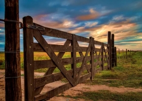Desde beneficios para cooperativas hasta el Inmobiliario Rural: las novedades impositivas de Santa Fe