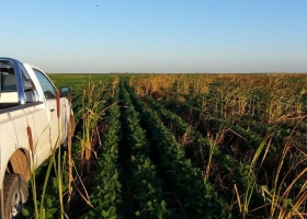 Perjudicar la capacidad de compra del agro golpea a la industria: la venta de camionetas sigue en terapia intensiva