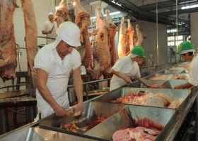En enero cayó la faena de ganado vacuno