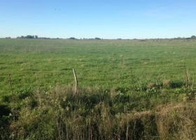 Ingresó una masa de aire frío: mirá los registros más bajos del sur bonaerense
