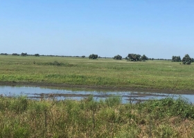 Bajos Submeridionales: buscan recuperar la producción en 3 millones de hectáreas