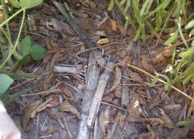 Un estudio indica que en la zona núcleo pampeana la siembra directa no se emplea de manera sostenible