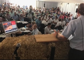 Rosgan llega esta semana a los 3 millones de cabezas ofertadas: habrá premios para vendedor y comprador