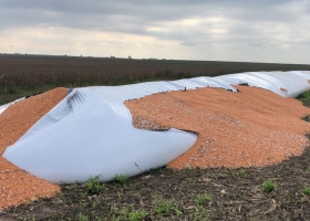 Vandalismo sin cuarentena: dañaron silos bolsa de un productor en Urdinarrain