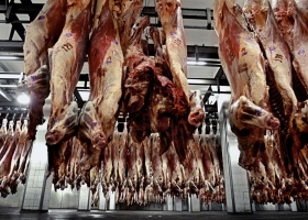 Carne. Reacciones dispares ante la intervención del Gobierno en el mercado