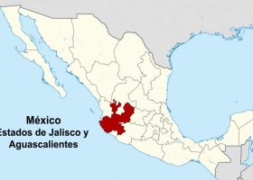 Sorpresa: la ganadería mexicana es más eficiente que la argentina