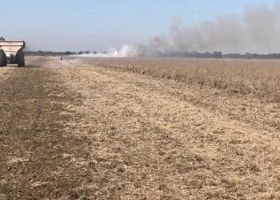 "Parece una película de terror": productores denuncian incendios intencionales en la cosecha