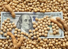 Dólar a $100: la amenaza para el campo de una devaluación encubierta