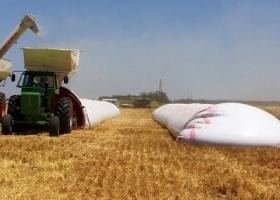 Silo bolsas: claves para lograr un correcto almacenamiento de granos