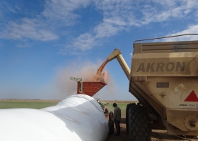 Algunos empresarios agrícolas venderán maíz temprano con un tipo de cambio superior a 80 $/u$s: cómo lo hicieron