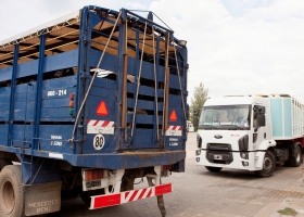 Se facilitan las gestiones para el transporte de animales vivos