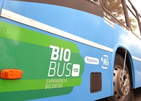 Vaca Muerta está muerta: Argentina del Centro necesita una política bioenergética