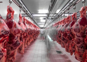 Coronavirus: bajaron en US$455,5 millones las exportaciones de carne vacuna