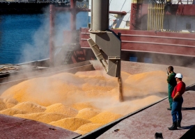 En 2019 el agro generó 6 de cada 10 dólares que ingresaron al país