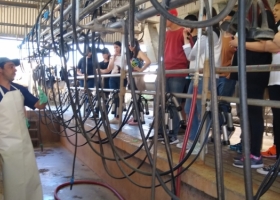 Productores avecinan una crisis de la cadena láctea y piden medidas para no tener que tirar leche