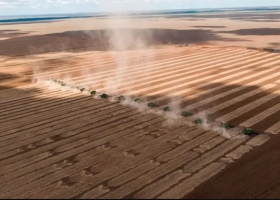 Récord histórico: Brasil exportó más de 16 millones de toneladas de soja en un mes