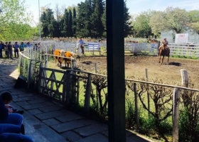 Un funcionario de Entre Ríos calificó de "golpistas" a productores y pidió expropiar el predio de una rural