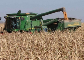 Encuesta: 30% de los productores dice que venderá 80% de su cosecha antes de julio