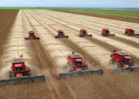 Imparable: Brasil estima una producción de soja y maíz superior a 250 millones de toneladas