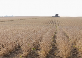 En la presente campaña sojera la zona núcleo pampeana argentina se “corrió” cien kilómetros hacia el norte