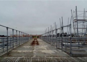 La mudanza del Mercado de Liniers. Comenzaron a colocar los corrales en el nuevo predio de Cañuelas.
