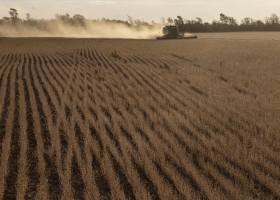 Negocio agrícola. La presión impositiva sobre el margen neto creció hasta 6,1 puntos