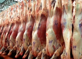 La faena de bovinos creció un 3,3 % en relación a 2019 y la participación del mercado interno cayó
