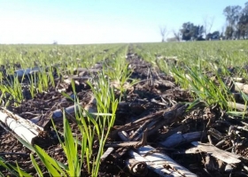 Fertilizantes. La Mesa de Enlace ya tiene cita para hablar con el Central