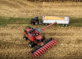 Vicentin: los argumentos que preocupan a los especialistas del negocio del agro