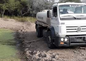 La falta de lluvias en Chaco se convirtió en un drama y las pérdidas ganaderas son incalculables