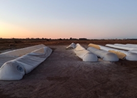 Inseguridad alimentaria: todas las instituciones de la cadena agroindustrial argentina solicitaron que se tomen medidas contra la destrucción de silobolsas