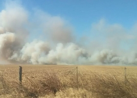 Se quemó el campo del presidente de la Rural de Río Cuarto e investigan si fue intencional
