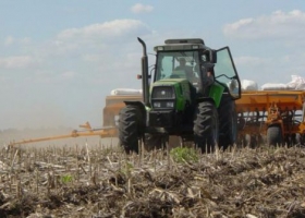 El 16% del trigo sembrado mantiene una condición de regular a mala