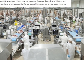 En el primer semestre crecieron las exportaciones de agroalimentos