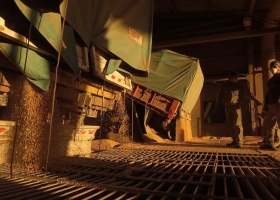 El gobierno argentino incrementó la exigencia financiera sobre el sector Agroindustrial