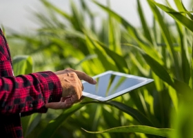Tecnologías De La Información En El Agro: ¿Hacia Dónde Vamos?