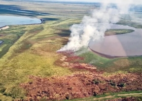 Nación presentó una propuesta para erradicar la quema de pastizales en el Delta del Paraná