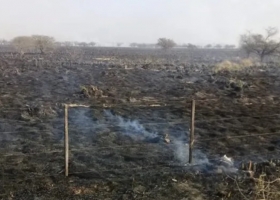 Sequía y múltiples focos de incendio en el norte: "Tanto la ganadería como la agricultura están perjudicadas"