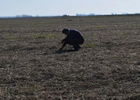 Análisis. Sin adjetivos, la agricultura mejora constantemente.