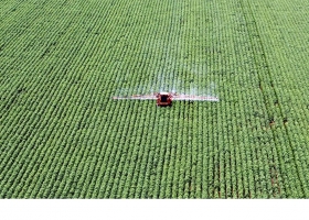 Por restricciones del BCRA. Alertan que podrían cerrar empresas de agroquímicos.