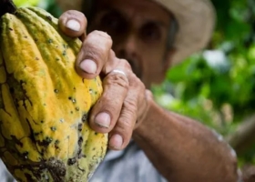 Una fintech creó un modelo alternativo de financiamiento para pequeños productores