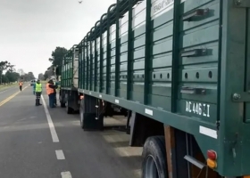 Senasa modificó los requisitos para el movimiento de animales susceptibles a fiebre aftosa