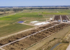Impacto ambiental y distancia de los pueblos: Los feedlot bonaerenses negocian una regulación que sirva para todos