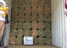 Córdoba: seis productores crearon una empresa y en tres años concretaron la primera exportación de alfalfa compactada